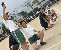 演技係